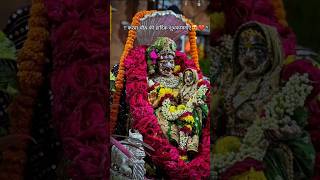 Shubh Karvachauth Sabko🙏india karvachauth celebration shiv matarani puja bhakti viralshorts [upl. by Maia]