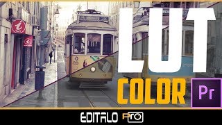 Cómo crear un LUT en Adobe Premiere Fácilmente [upl. by Emaj949]