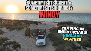 THE WINDIEST CAMPING EVER in an OFFROAD CAMPER TRAILER South Lefroy Bay Ningaloo [upl. by Treharne527]