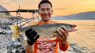 Evening Walleye and Bass Fishing  John Day Dam Oregon [upl. by Sleinad700]