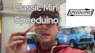 Fitting a Speeduino to a Classic Mini with and engine swap [upl. by Rolat]