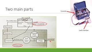 Estimation of transpiration using Porometer [upl. by Yancey]