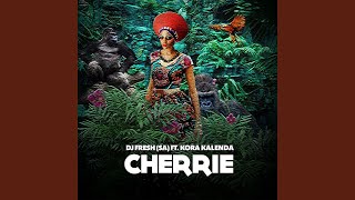 Cherrie Aliphatiks Afro Mix [upl. by Nosnek]