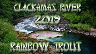 Clackamas River Trout Fishing In Estacada Oregon [upl. by Ahsrat]