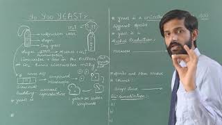 Useful and harmful microbes  Lecture 3  Yeast  Alcohol Production  Bioremediation  Alcanivorax [upl. by Bartko]