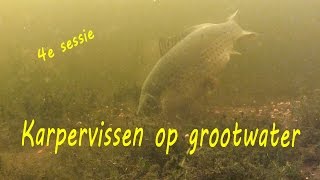 Karpervissen op grootwater 4e sessie  Boustails  live runs [upl. by Ativel]