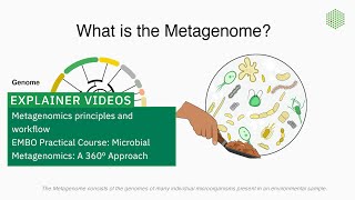 Metagenomics principles and workflow [upl. by Hgielram]