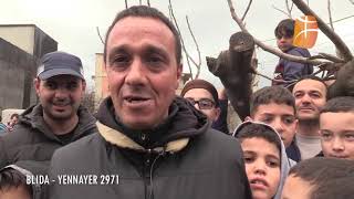 Reportage  Yennayer 2971 à Blida [upl. by Leis]