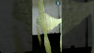 subscribe 💯 hand carft natural village shorts video [upl. by Murray]