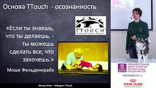 Куликова В Юнкина А С  Метод ТиТач Tellington TTouch [upl. by Hcra]