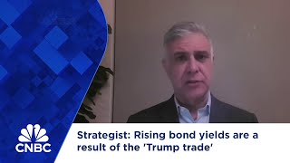 Strategist Rising bond yields are a result of the Trump trade [upl. by Aytac26]