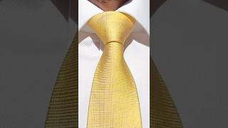 How to Tie a Tie  Easy Windsor Knot [upl. by Leunamme]