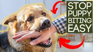 STOP PUPPY BITING IN SECONDS [upl. by Aramad]