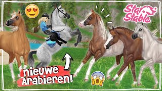 IK KOOP DE NIEUWE ARABIEREN met SPECIALE STEIGER 🤩  Update  Star Stable  Daphne draaft door [upl. by Natsirc]