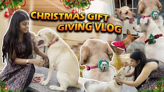 Christmas🎄 Gift Giving Vlog  Gabriella Charlton [upl. by Tnomed100]