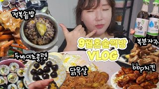 혼술먹방vlog 9월 건강챙긴다고 부지런히 먹은일상모음zip [upl. by Sallie]