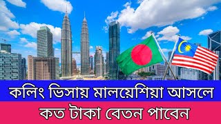 কলিং ভিসায় মালয়েশিয়া আসলে কত টাকা বেতন পাবেন  Malaysia Calling Visa  Basic Salary [upl. by Annonyw774]