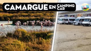 LA CAMARGUE  SPOT GRATUIT  Manade Mejane  Paul Ricard [upl. by Htnnek]