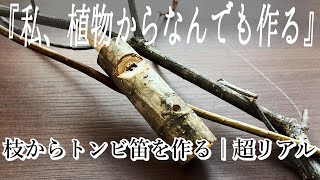 簡単自然遊び｜枝笛の作り方｜超リアルなトンビの鳴き声｜トンビ笛｜ [upl. by Bobbe]