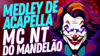 MEDLEY DE ACAPELLAS 2024 MC NT DO MANDELÃO [upl. by Terina987]