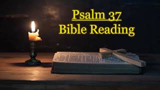 Psalm 37 Audio Bible Reading  NIV [upl. by Anivram142]