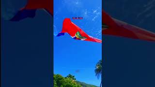 Happy Haitian Flag Day 🇭🇹 haiti haitianflagday ayisyentiktok haitiantiktok foryou [upl. by Achorn]