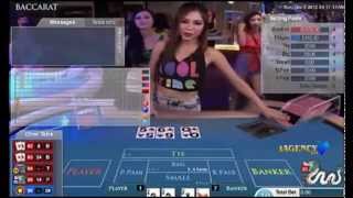 IBCBET Party Casino  iAgencyNet [upl. by Einberger11]