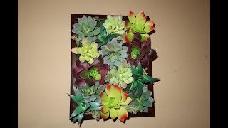 Dollar Tree DIY  Pottery Barn Inspired Succulent Wall Decor [upl. by Waal648]