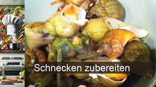 Schnecken zubereiten  Rezept [upl. by Roshan]