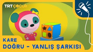 Kare  Doğru  Yanlış Şarkısı [upl. by Salisbarry]