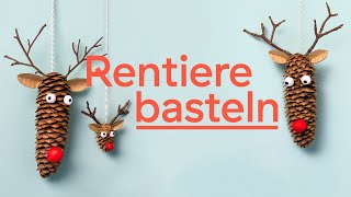 Einfache Weihnachtsdeko Rentiere aus Tannenzapfen basteln [upl. by Solitta]