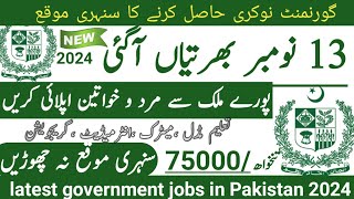 Latest government November jobs 2024 ۔ New jobs 2024 in pakistan۔Latest jobs in Pakistan 2024 today [upl. by Everson]