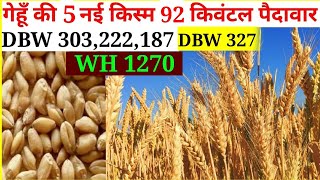 dbw 303 wheat varietydbw 187 wheat varietywh 1270 wheat varietydbw 303dbw 187wh 1270new wheat [upl. by Kielty]