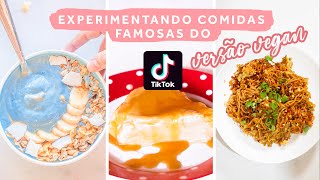 TESTANDO RECEITAS DO TIKTOK VERSAO VEGANA  PUDIM SEM OVOS SMOOTHIE AZUL E MELHOR MIOJO [upl. by Merilyn]