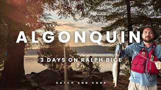 New to the backcountry Trip to Ralph Bice Algonquin 4K [upl. by Einatsed]