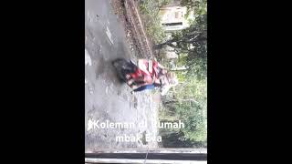 Otw Koleman di kasian selatan [upl. by Artemisia]