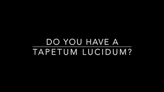 Do You Have A Tapetum lucidum [upl. by Aer]