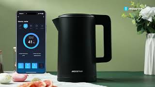 217242 WB SMART Electric Kettle Double Wall 2200W 17L with temprature control Black VDE [upl. by Dody]