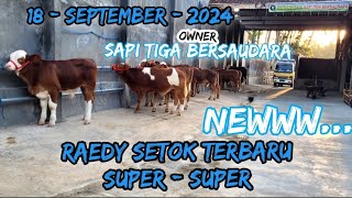 UPDATE PEDETAN SAPI SUPERSUPER [upl. by Obara]