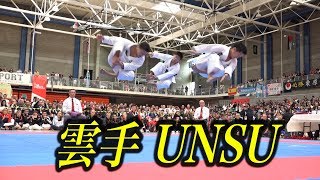 Karate Kata quotUnsuquot in 2017 JKA WORLD TOURNAMENT [upl. by Urd]