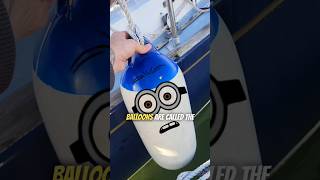 WE JUST GOT A BOAT ⛵ LESSON 4 Fenders sailboat boating sailboatlife fenders [upl. by Jobey178]