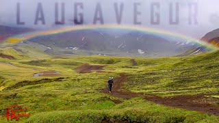 Hiking The Most Famous Trail In Iceland  The Laugavegur [upl. by Caswell]