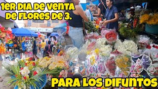 Mercado de floresNaturales y artificial Dia de Los difuntos usulutan video [upl. by Mimi180]