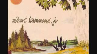 Blue Skies  Albert Hammond Jr [upl. by Martyn]