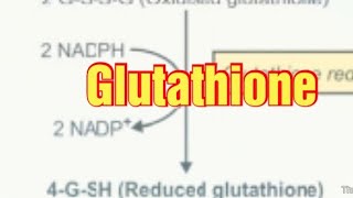 Glutathione Biochemistry Synthesis and Functions of Glutathione glutathione [upl. by Atnoved]