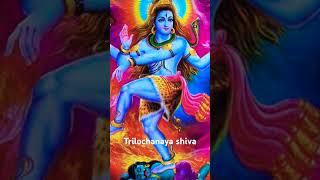 Nagendra trilochanaya shivaya 🙏🙏💰 divetiona song ohm namo shivaya vugra rupam natyam song [upl. by Annazus472]