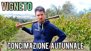 Concimazione autunnale della vite falla dopo la vendemmia [upl. by Darmit530]