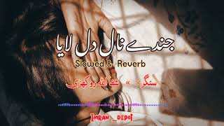 Jinde Naal Dil laya  SlowedReverb   Super Hits Saraiki Songs  slowed new song 2024  Saraiki [upl. by Tryck]