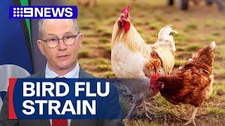 New strain of deadly bird flu likely to land in Australia  9 News Australia [upl. by Atikat581]