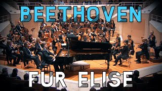 Beethoven  Für Elise  Berliner Philharmonie  Piano amp Orchestra [upl. by Anicnarf]